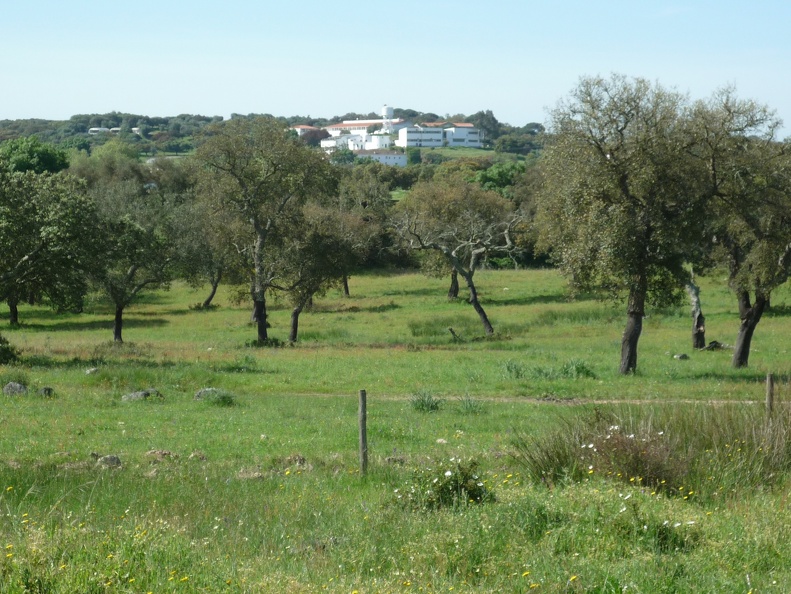 P1010439.JPG