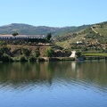 IMG 4581