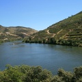 IMG 4596