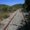 IMG 4655
