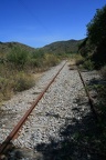 IMG 4655