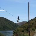 IMG 4664