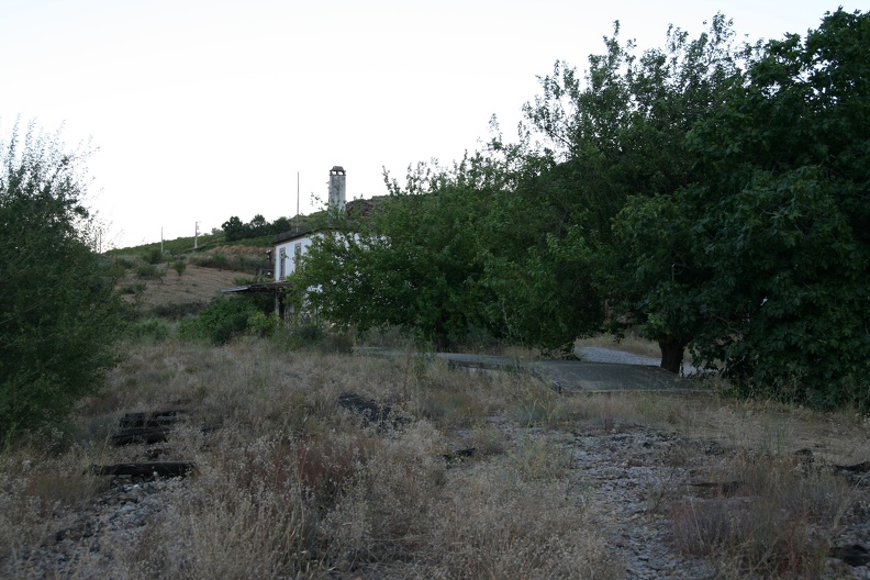 IMG 4696