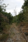 IMG 4712