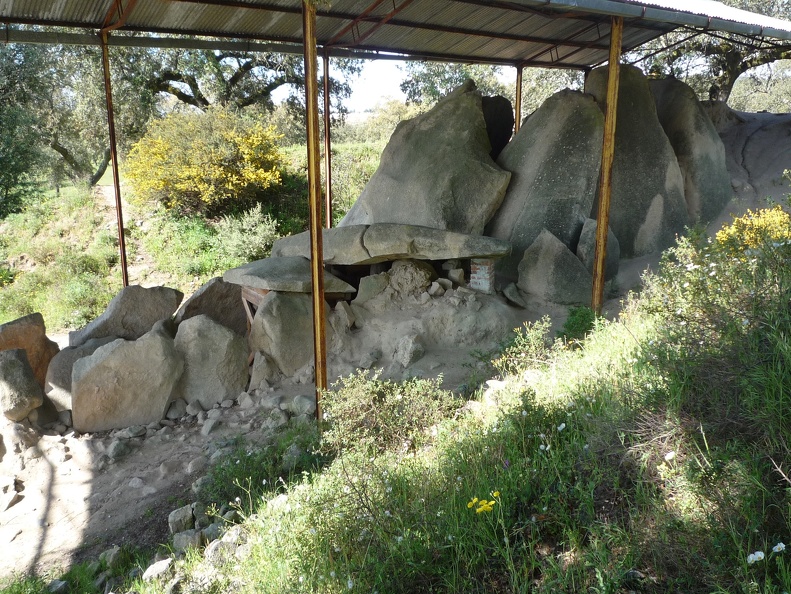 P1010437.JPG