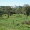 P1010439