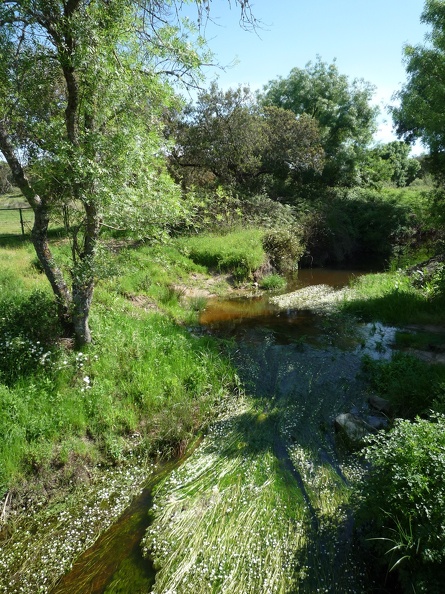 P1010449.JPG