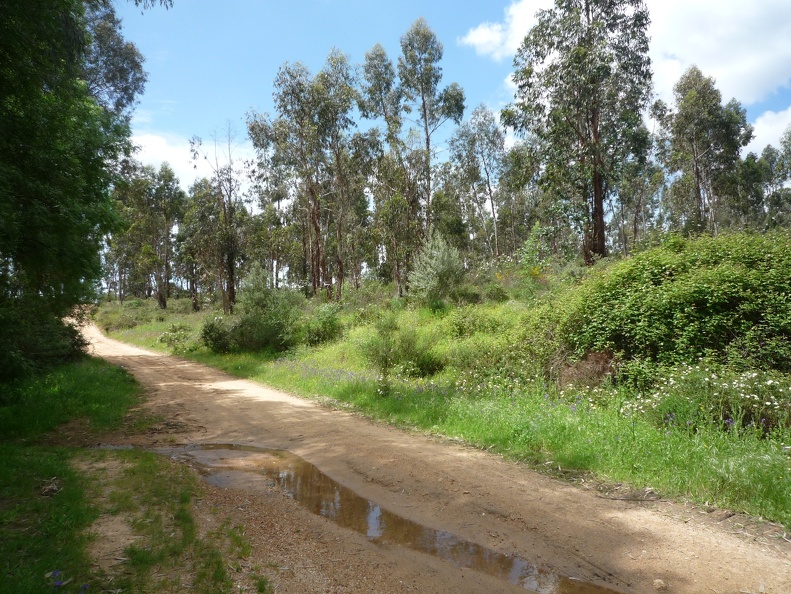 P1010492