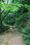 IMG 6948