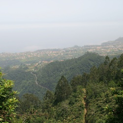 Ilha