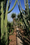 IMG 7028