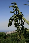 IMG 7030