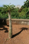 IMG 7031