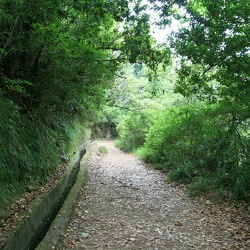 Levada da Portela