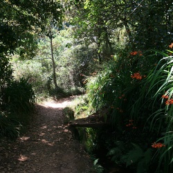 Levada dos Tornos