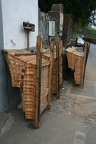 IMG 6631