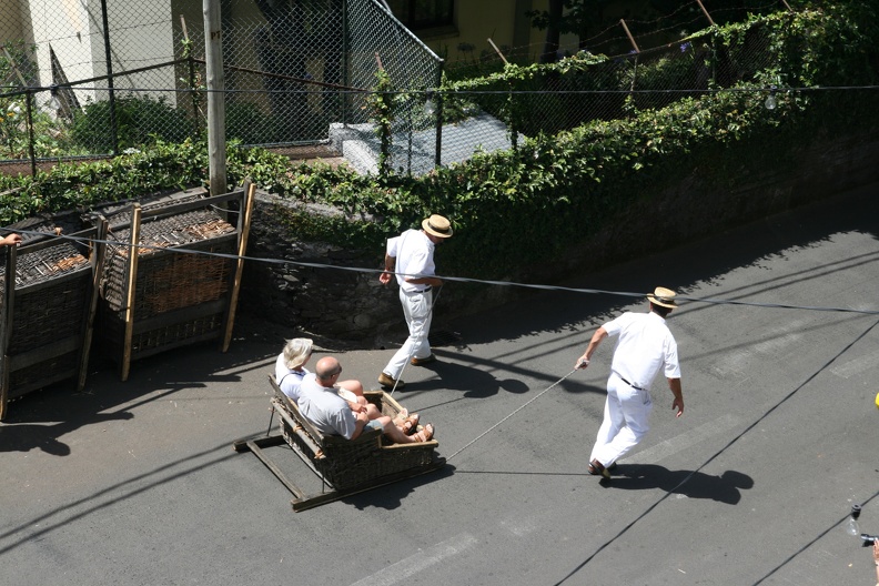 IMG 7051